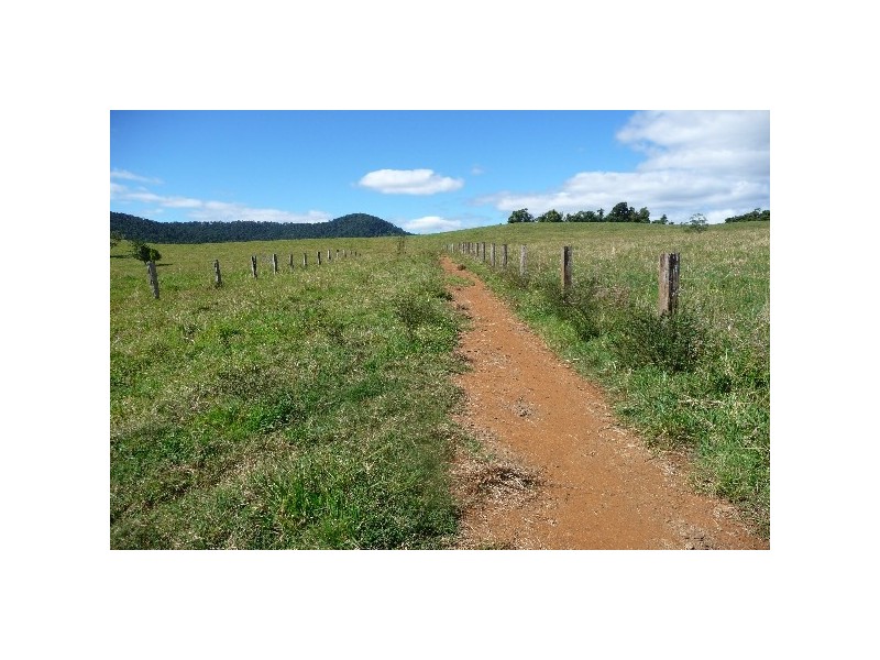Millaa Millaa QLD 4886