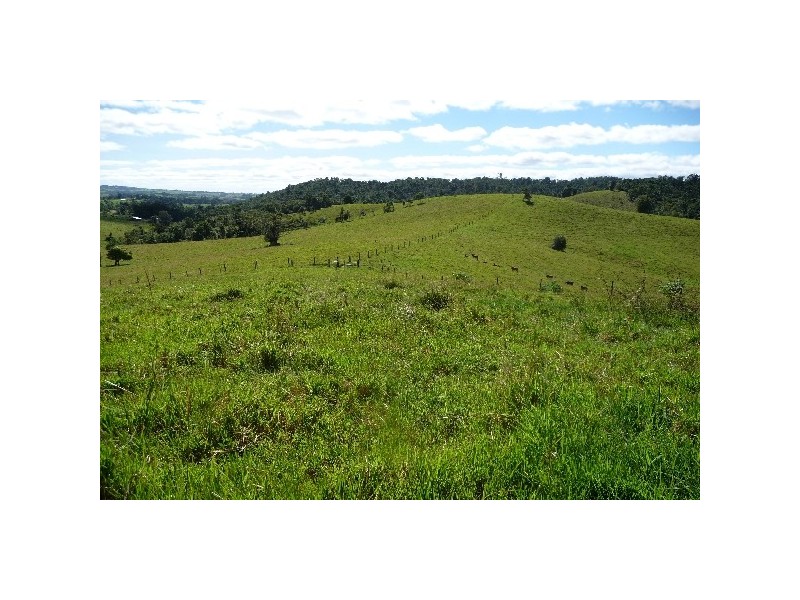 Millaa Millaa QLD 4886