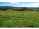 Millaa Millaa QLD 4886