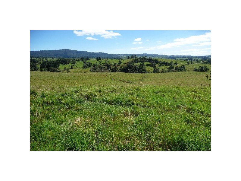 Millaa Millaa QLD 4886