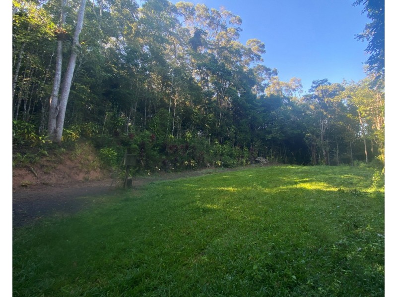 5/244-246 Lakes Drive, Lake Eacham QLD 4884