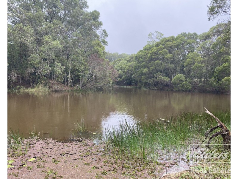 Millaa Millaa QLD 4886