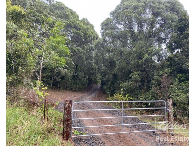 Millaa Millaa QLD 4886