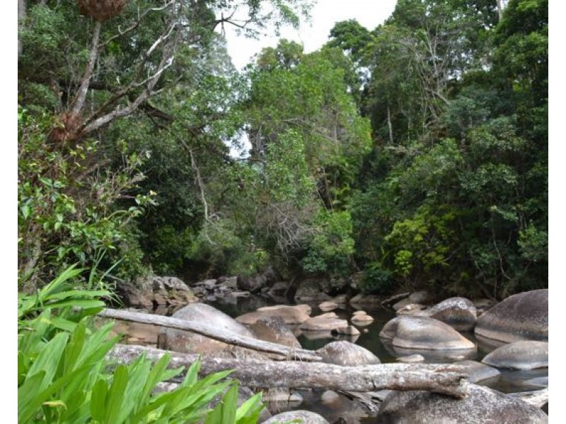 Millaa Millaa QLD 4886