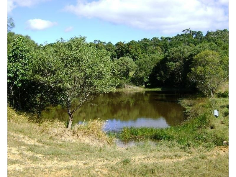 Millaa Millaa QLD 4886