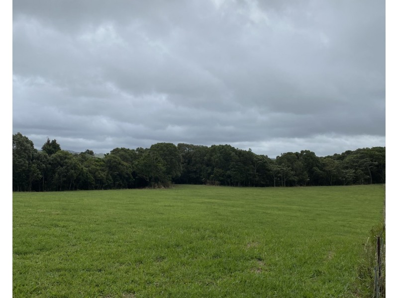 Millaa Millaa QLD 4886