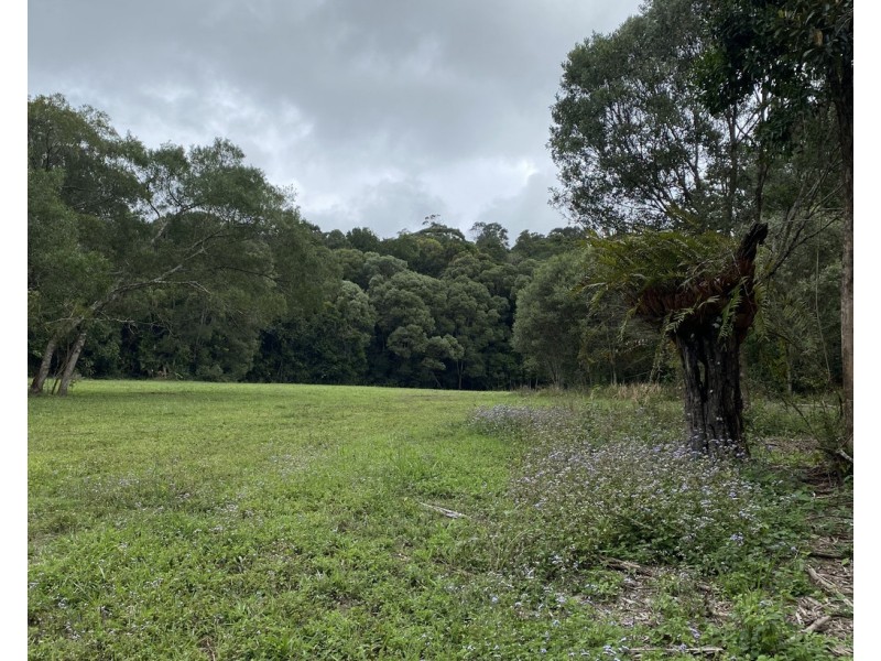 Millaa Millaa QLD 4886