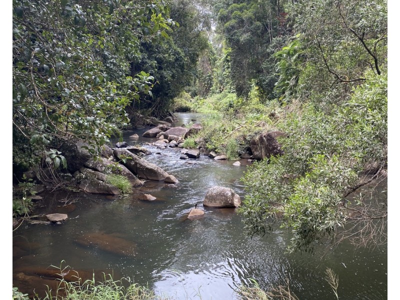 Millaa Millaa QLD 4886