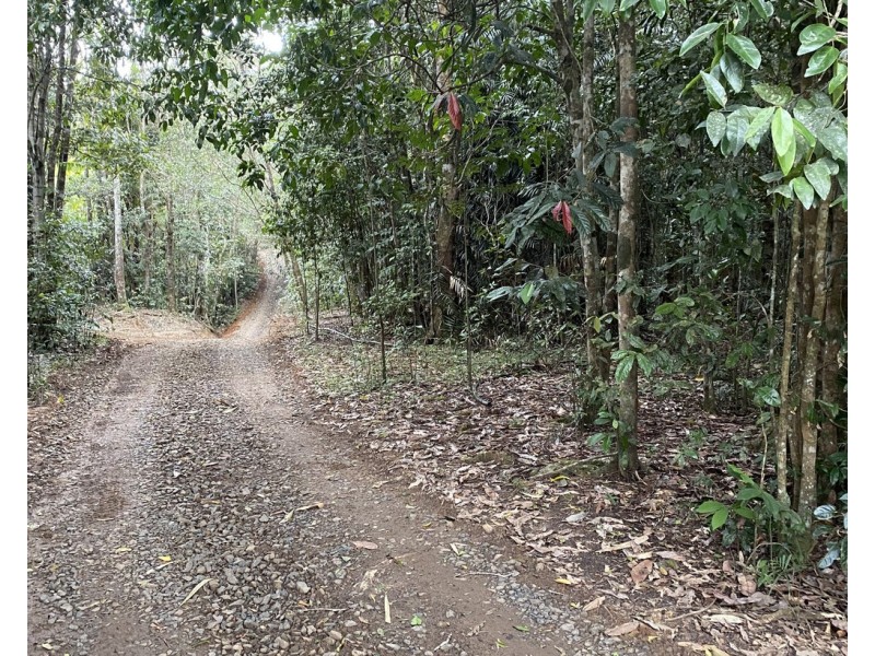 Millaa Millaa QLD 4886