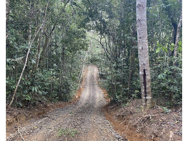 Millaa Millaa QLD 4886