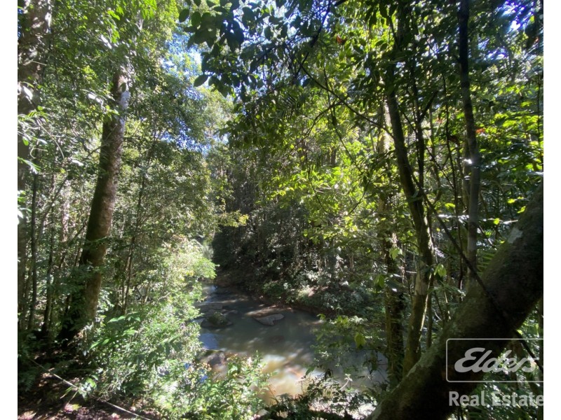 247 Hogan Road, Tarzali QLD 4885