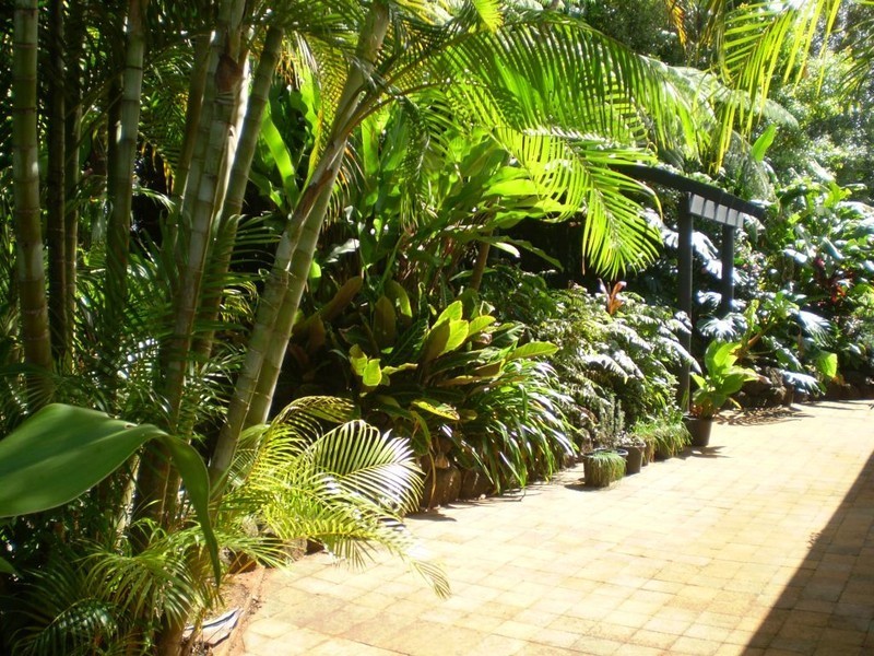 Malanda QLD 4885