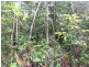Ravenshoe QLD 4888
