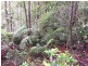 Ravenshoe QLD 4888