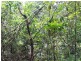 Ravenshoe QLD 4888