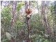 Ravenshoe QLD 4888