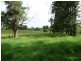 Millaa Millaa QLD 4886
