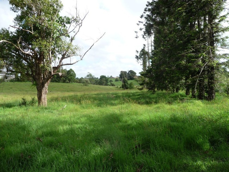 Millaa Millaa QLD 4886