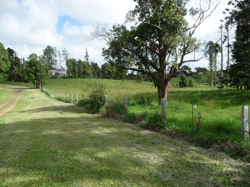 Millaa Millaa QLD 4886