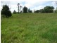 Millaa Millaa QLD 4886