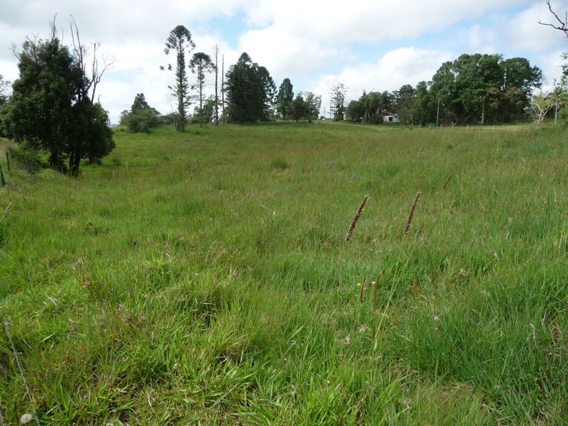 Millaa Millaa QLD 4886