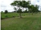 Millaa Millaa QLD 4886
