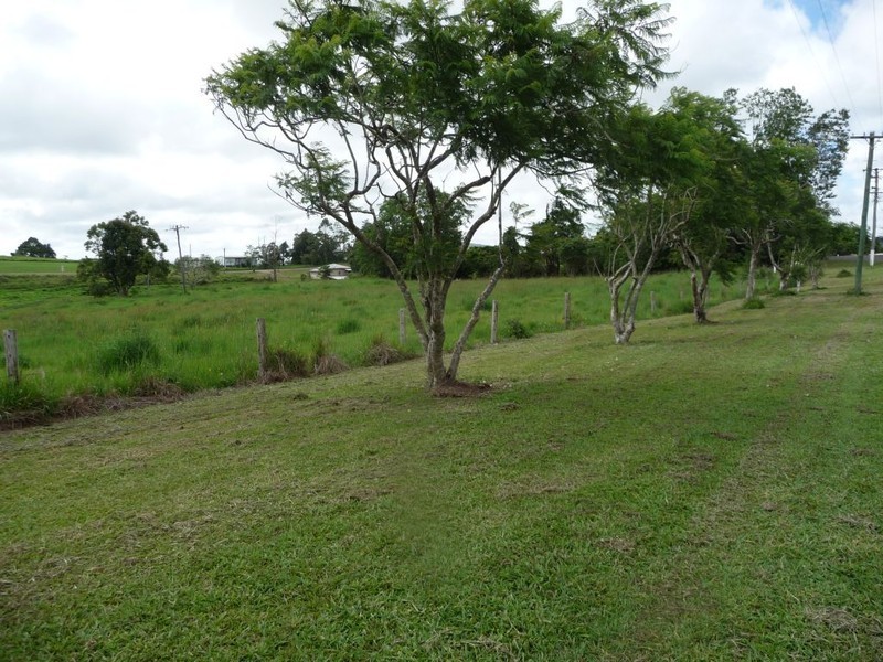 Millaa Millaa QLD 4886