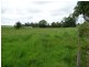 Millaa Millaa QLD 4886