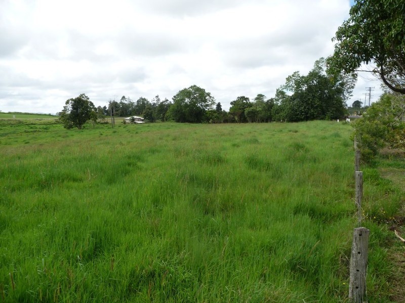 Millaa Millaa QLD 4886