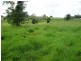 Millaa Millaa QLD 4886