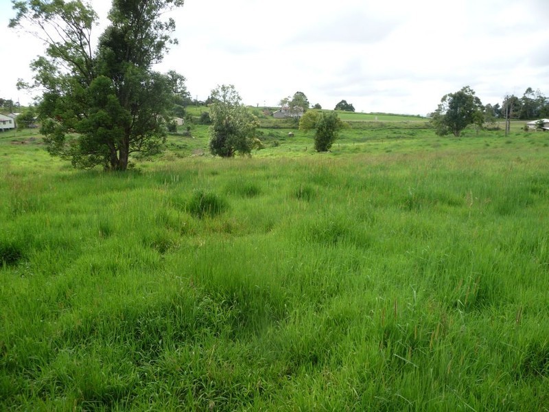Millaa Millaa QLD 4886
