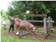 Millaa Millaa QLD 4886