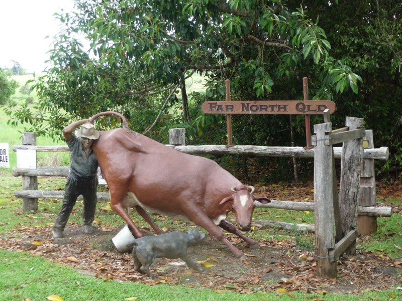 Millaa Millaa QLD 4886