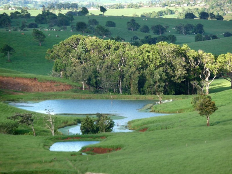2 MERRAGALLAN RD, Malanda QLD 4885