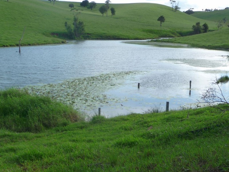 2 MERRAGALLAN RD, Malanda QLD 4885