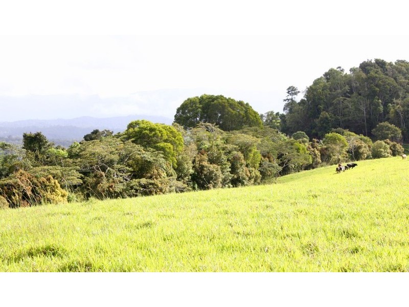 Malanda QLD 4885