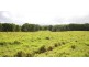 Malanda QLD 4885
