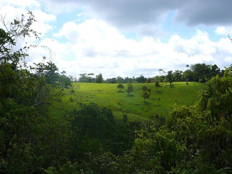 Malanda QLD 4885