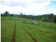 Malanda QLD 4885