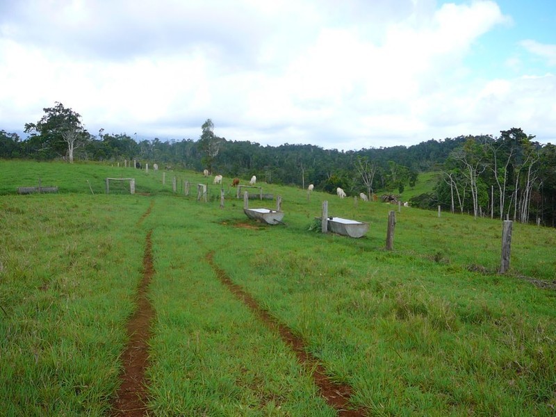 Malanda QLD 4885