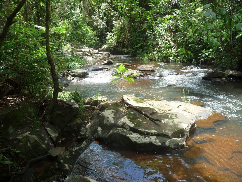 412 Hogan Rd, Malanda QLD 4885