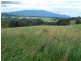 412 Hogan Rd, Malanda QLD 4885
