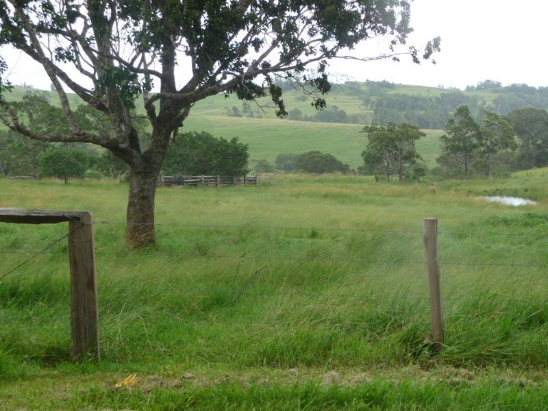 412 Hogan Rd, Malanda QLD 4885