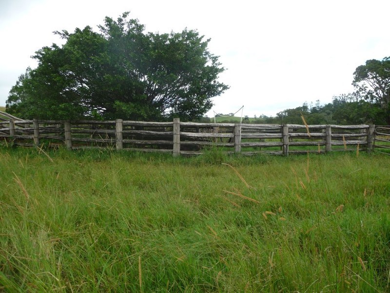 412 Hogan Rd, Malanda QLD 4885