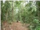 412 Hogan Rd, Malanda QLD 4885