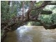 412 Hogan Rd, Malanda QLD 4885