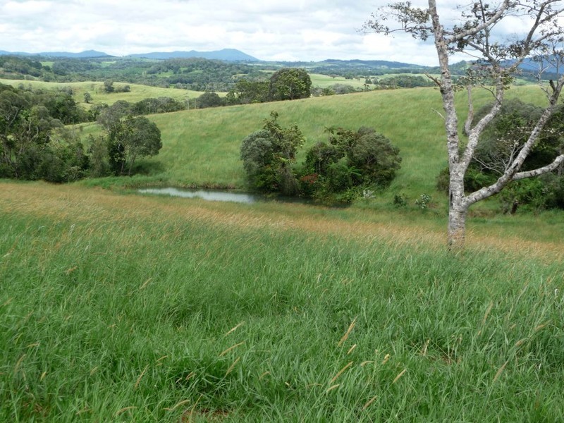 412 Hogan Rd, Malanda QLD 4885