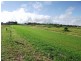 Yungaburra QLD 4884