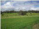 Yungaburra QLD 4884