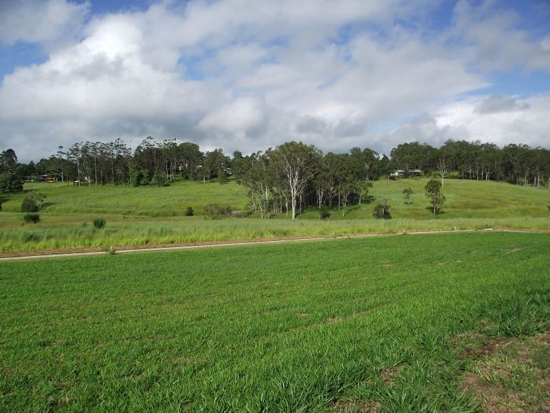Yungaburra QLD 4884